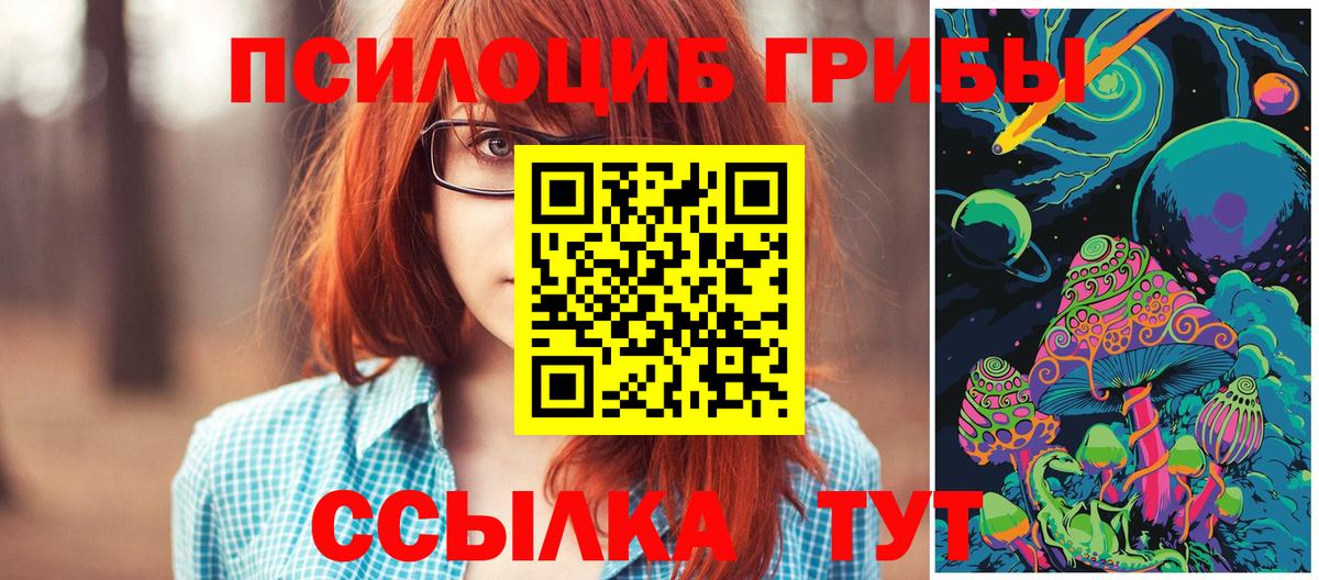 Псилоцибиновые грибы мухоморы Зерноград