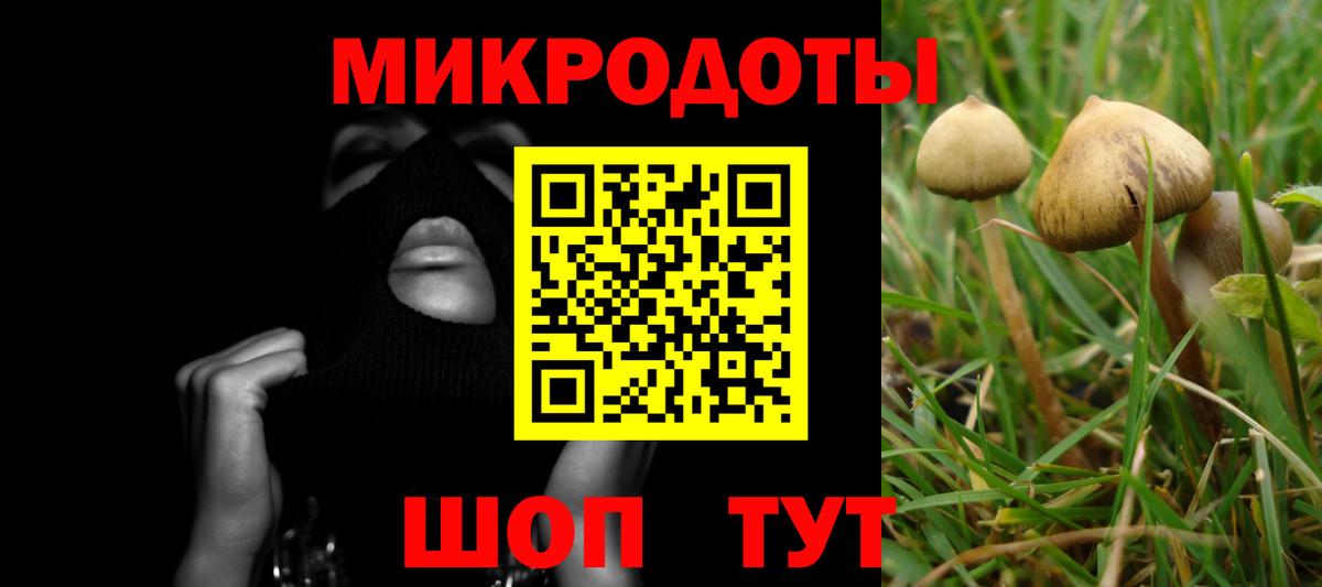 Зерноград  Галлюциногенные грибы ЛСД  Псилоцибиновые грибы мухоморы  Вход с VPN 